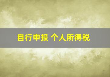 自行申报 个人所得税